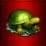 Green turtle