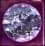 Purple gems