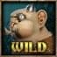 Wild Multipliers