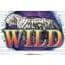 Wild Symbol