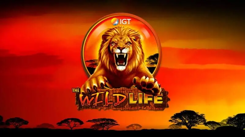 The Wild Life screenshot 1